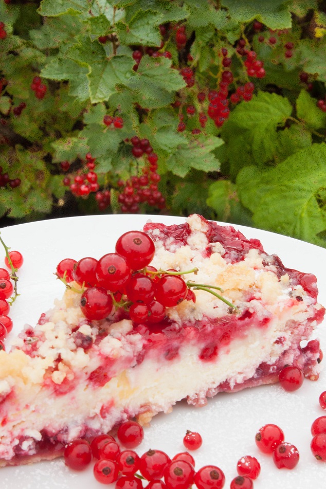 Red Currant Cheese Cake - Delicious, light and pretty